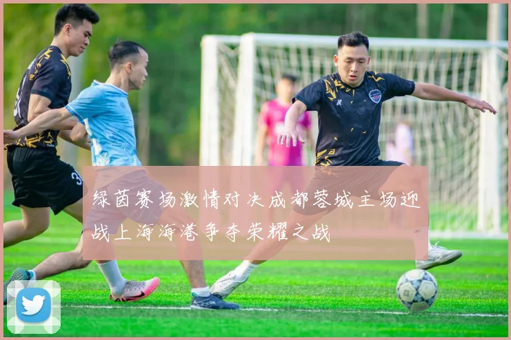 绿茵赛场激情对决成都蓉城主场迎战上海海港争夺荣耀之战